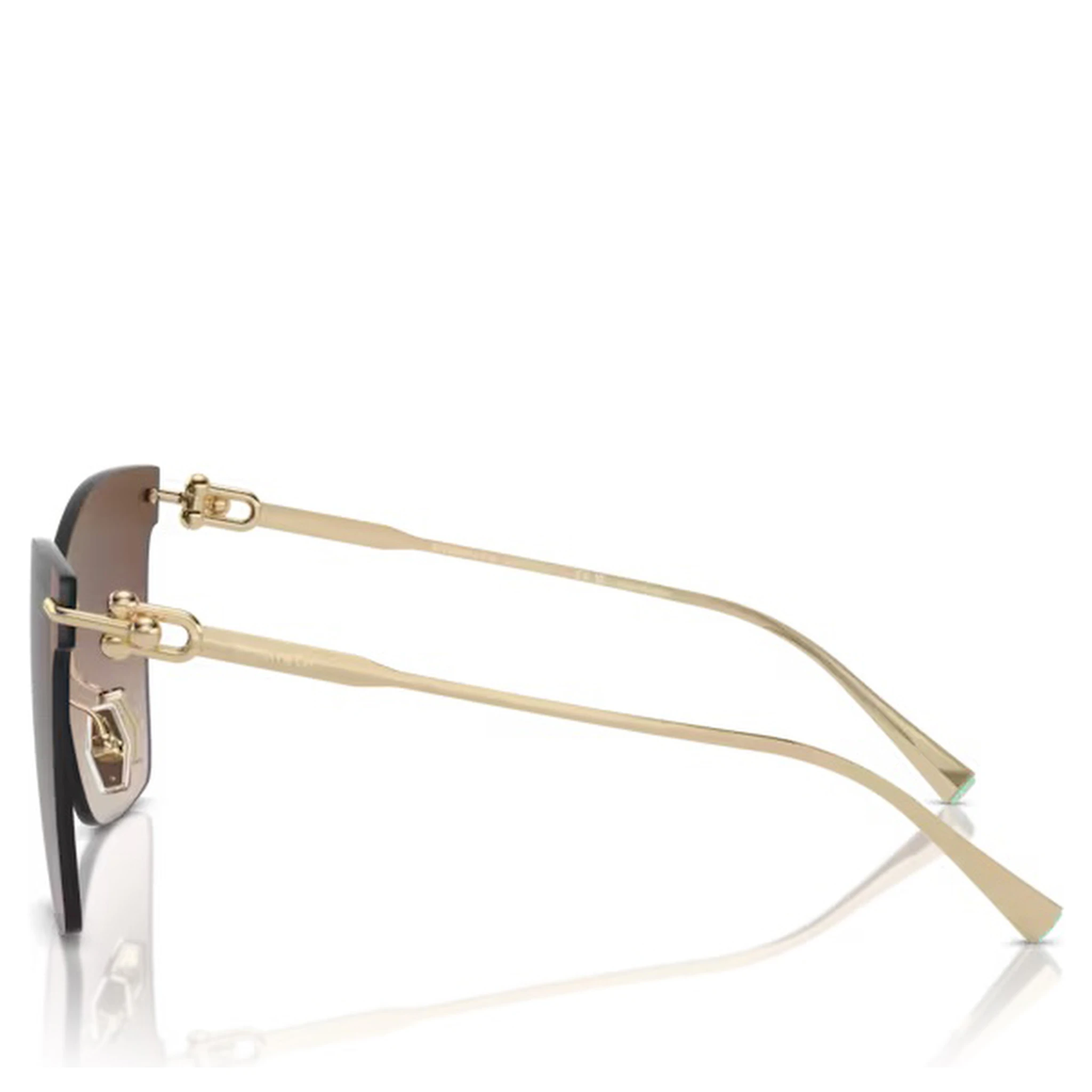 TIFFANY & CO. Sunglasses