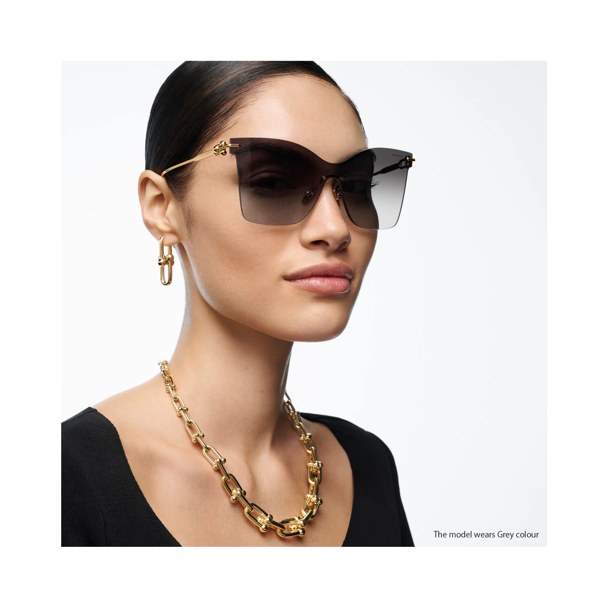 TIFFANY & CO. Sunglasses