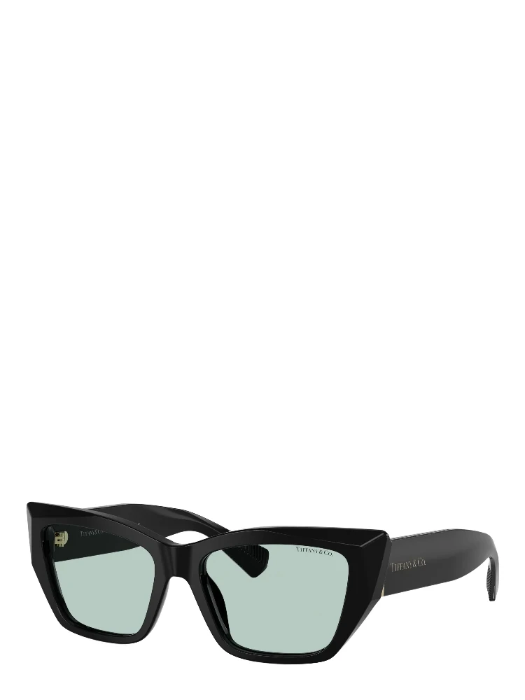 TIFFANY & CO. Sunglasses Black