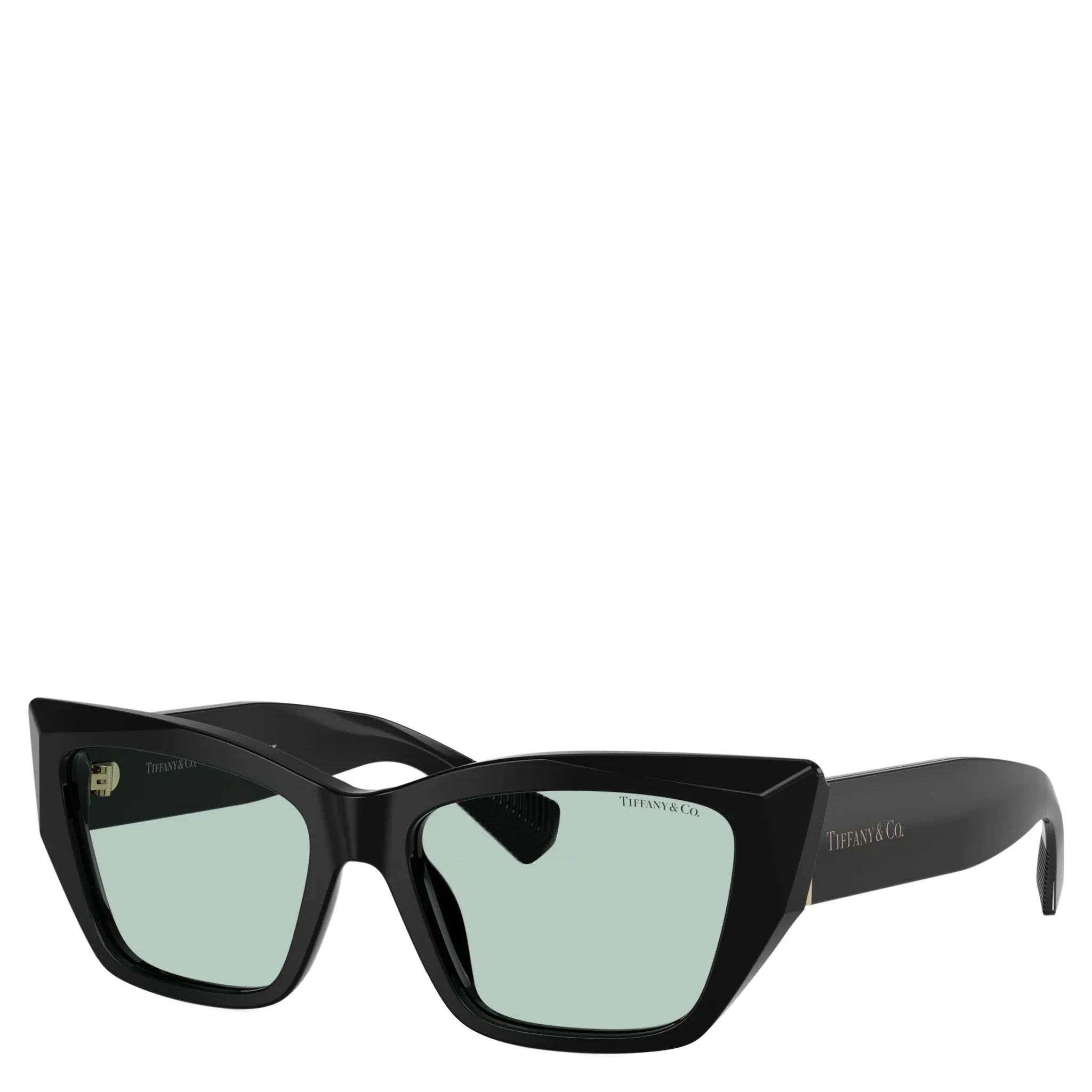 TIFFANY & CO. Sunglasses Black