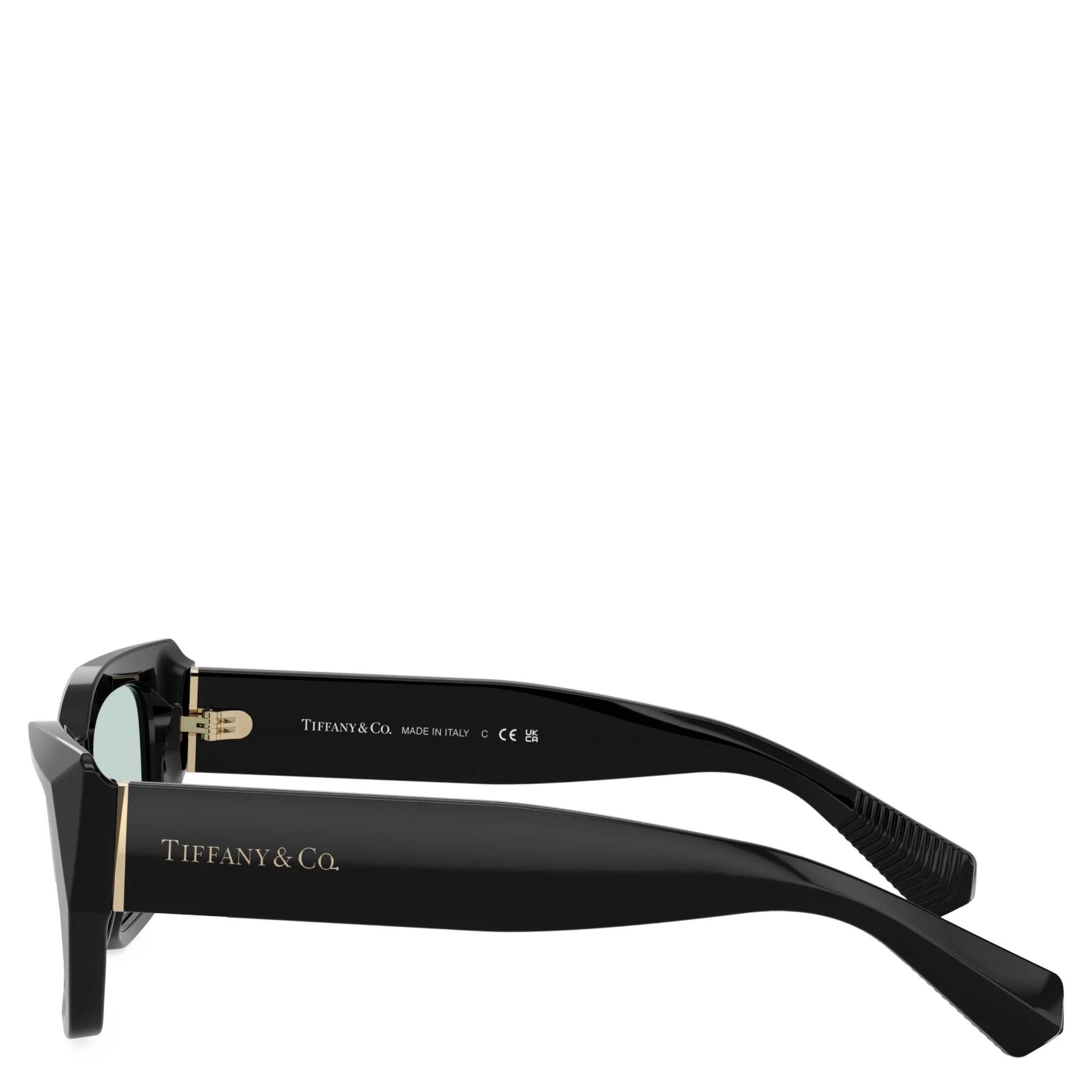 TIFFANY & CO. Sunglasses Black