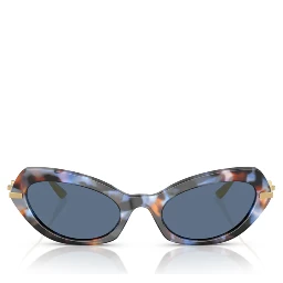 Dolce & Gabbana Sunglasses