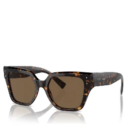 Dolce & Gabbana Sunglasses Brown