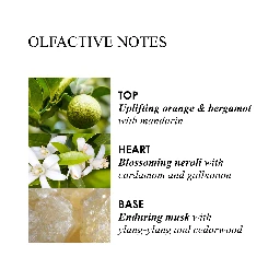 أسلوب حياة مولتون براون