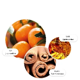 MOLTON BROWN Lifestyle