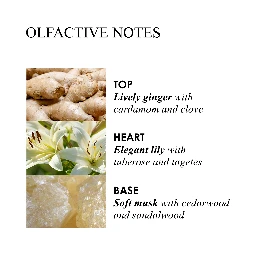 MOLTON BROWN Lifestyle