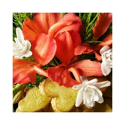 MOLTON BROWN Lifestyle