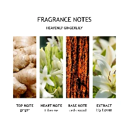 MOLTON BROWN Lifestyle