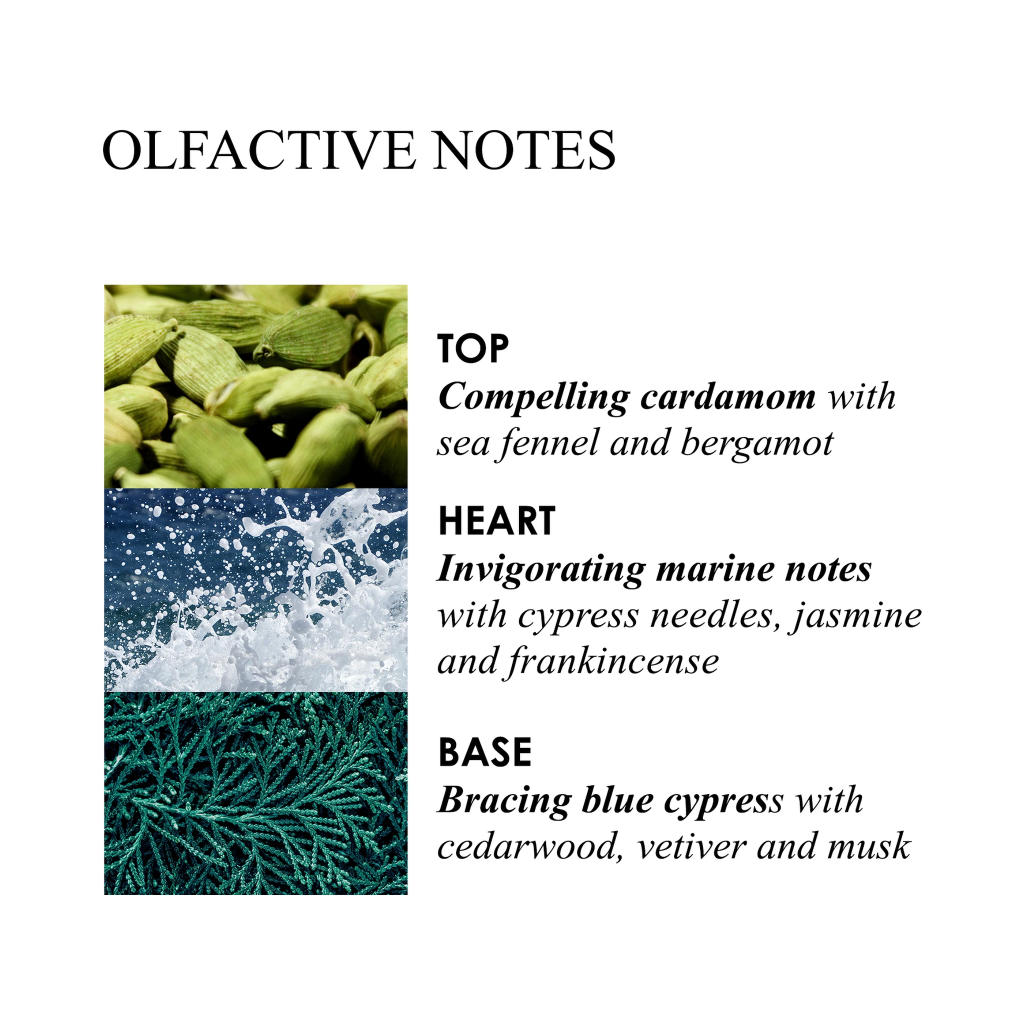 MOLTON BROWN Lifestyle