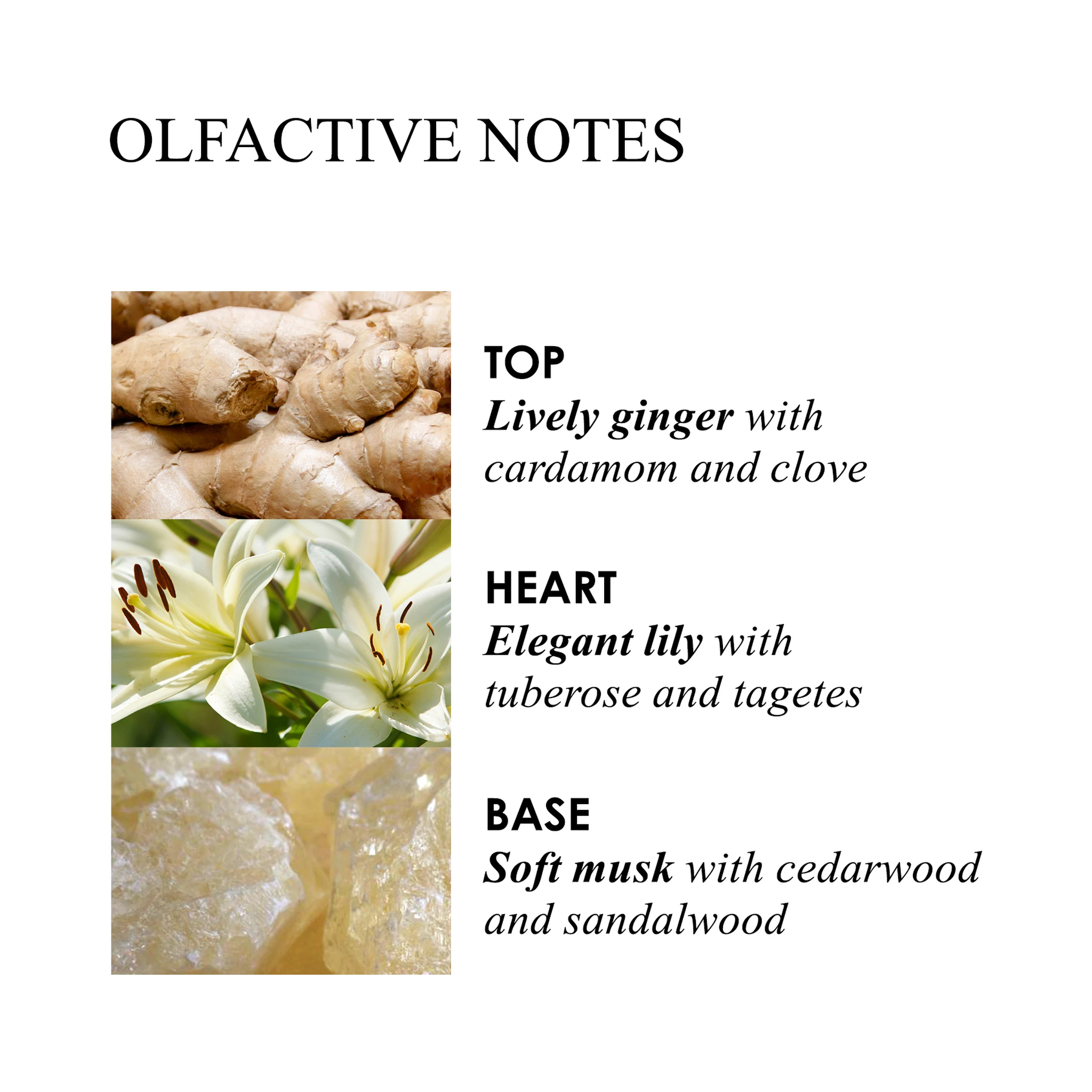 MOLTON BROWN Lifestyle