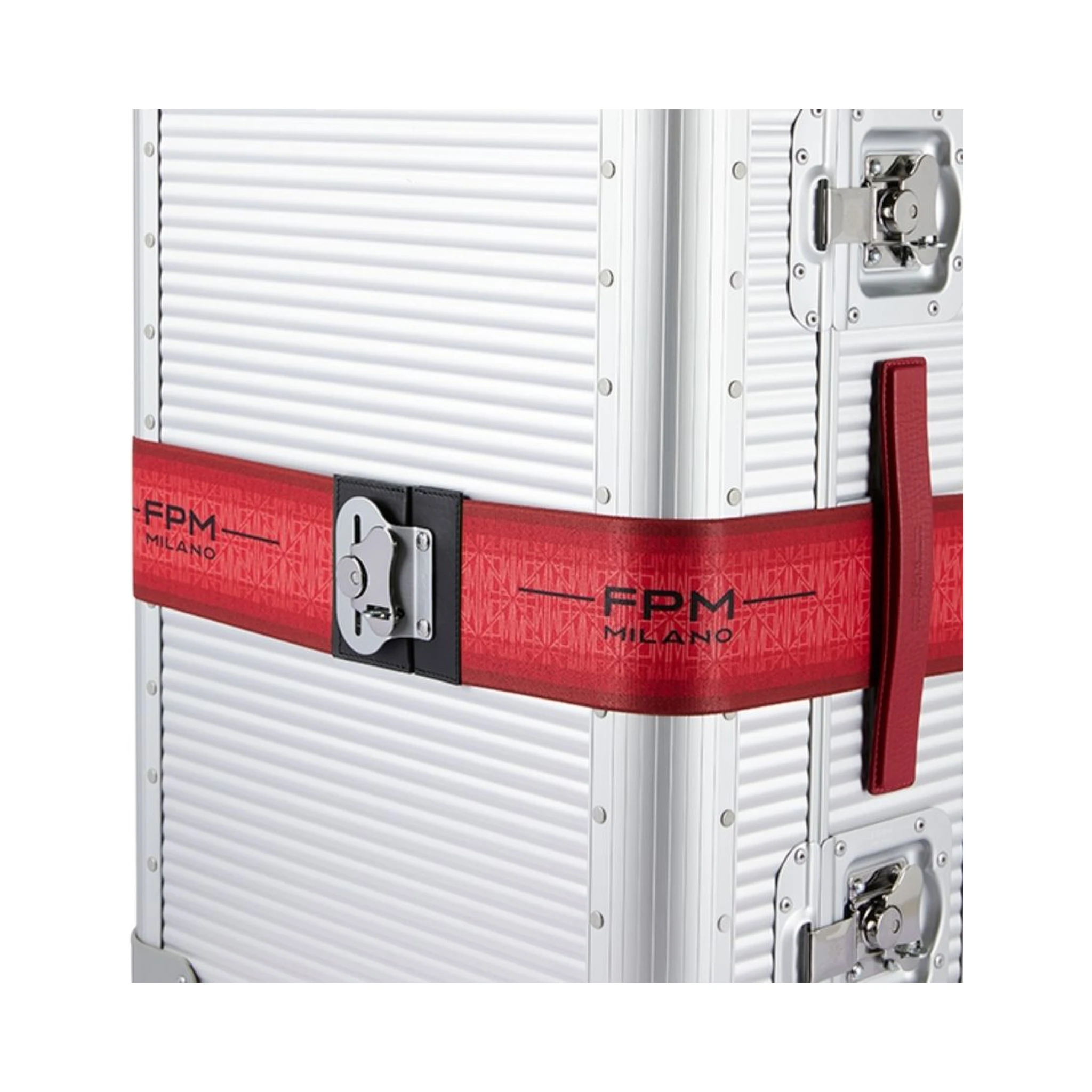 BUTTERFLY ELASTIC BELT S