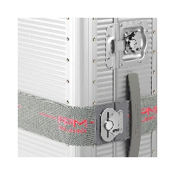 BUTTERFLY ELASTIC BELT XL