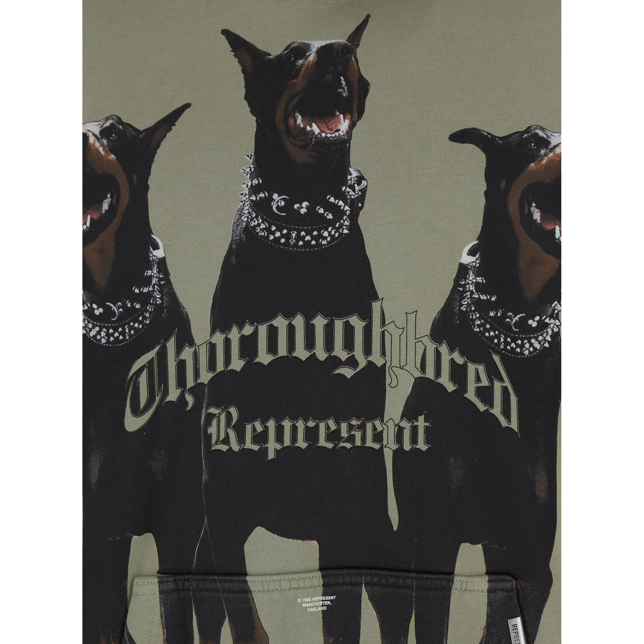 Green Hoodie with Fixed Hood and Maxi Print on the Front in Cotton Man