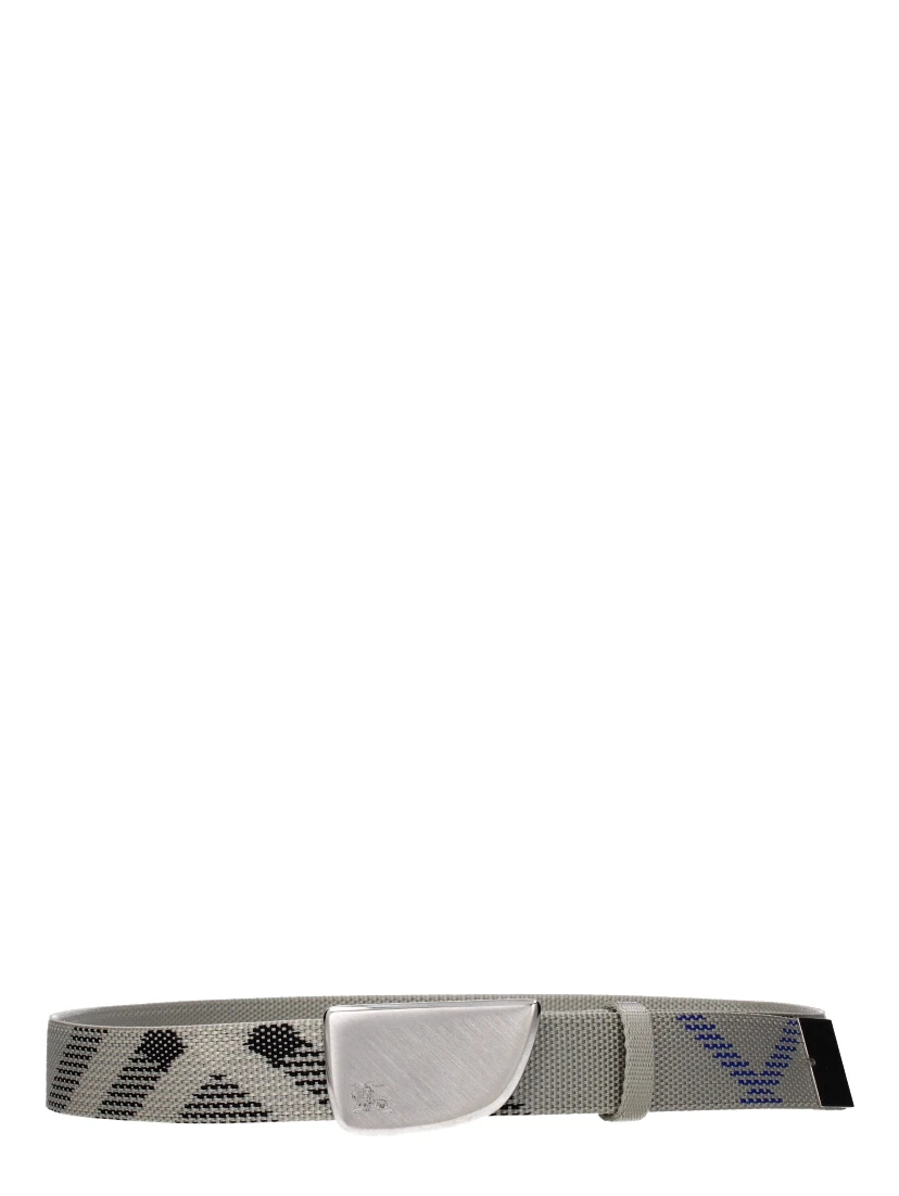 Beige Fabric Belt