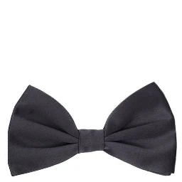 Gray Silk Bowtie
