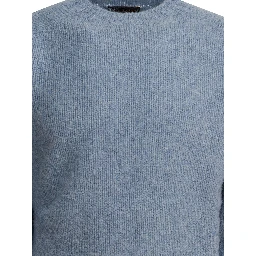 "Shaggy Bernard" crewneck sweater