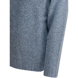 "Shaggy Bernard" crewneck sweater