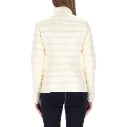 جاكيت "واليبي"