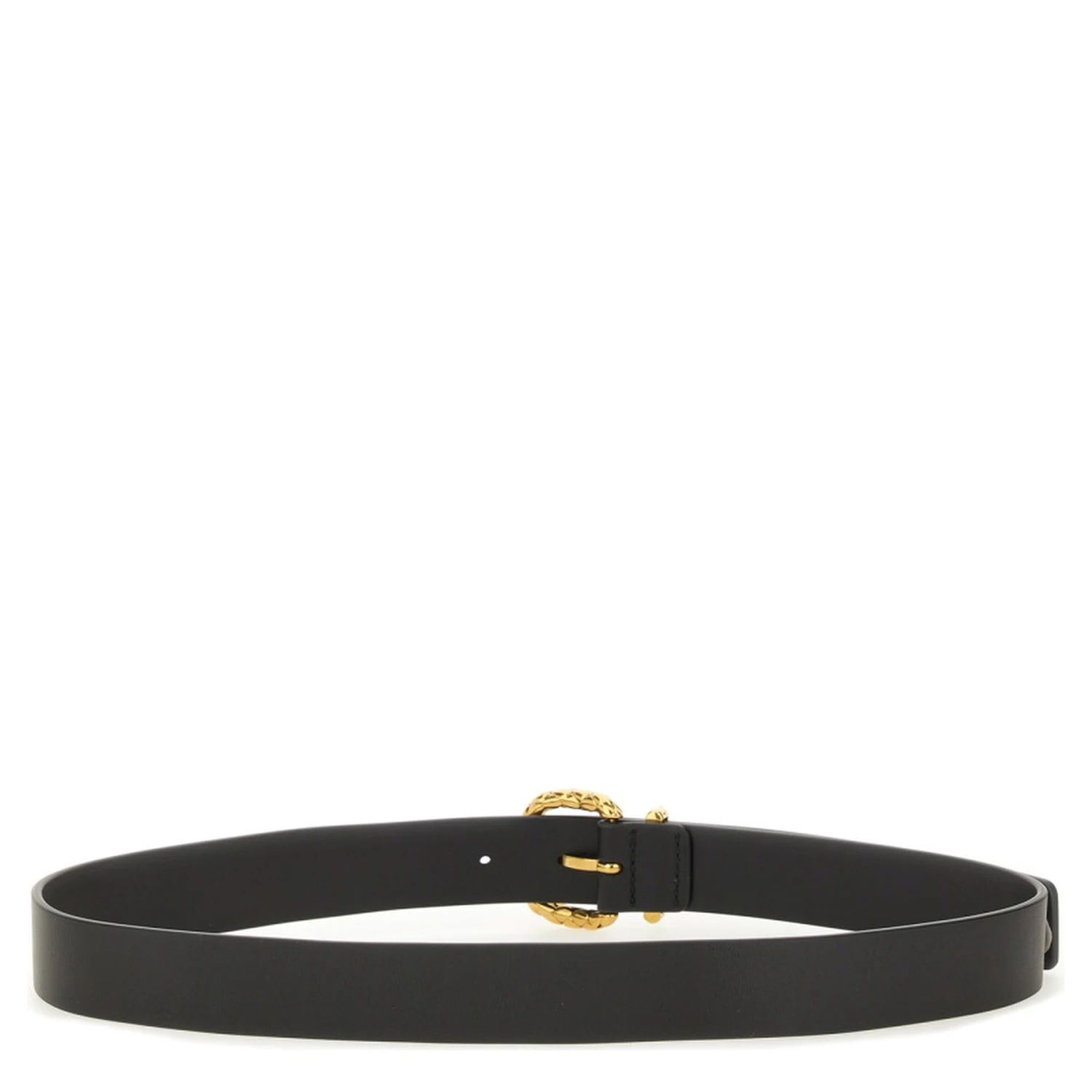 COAXIAL BELT WITH LOOP