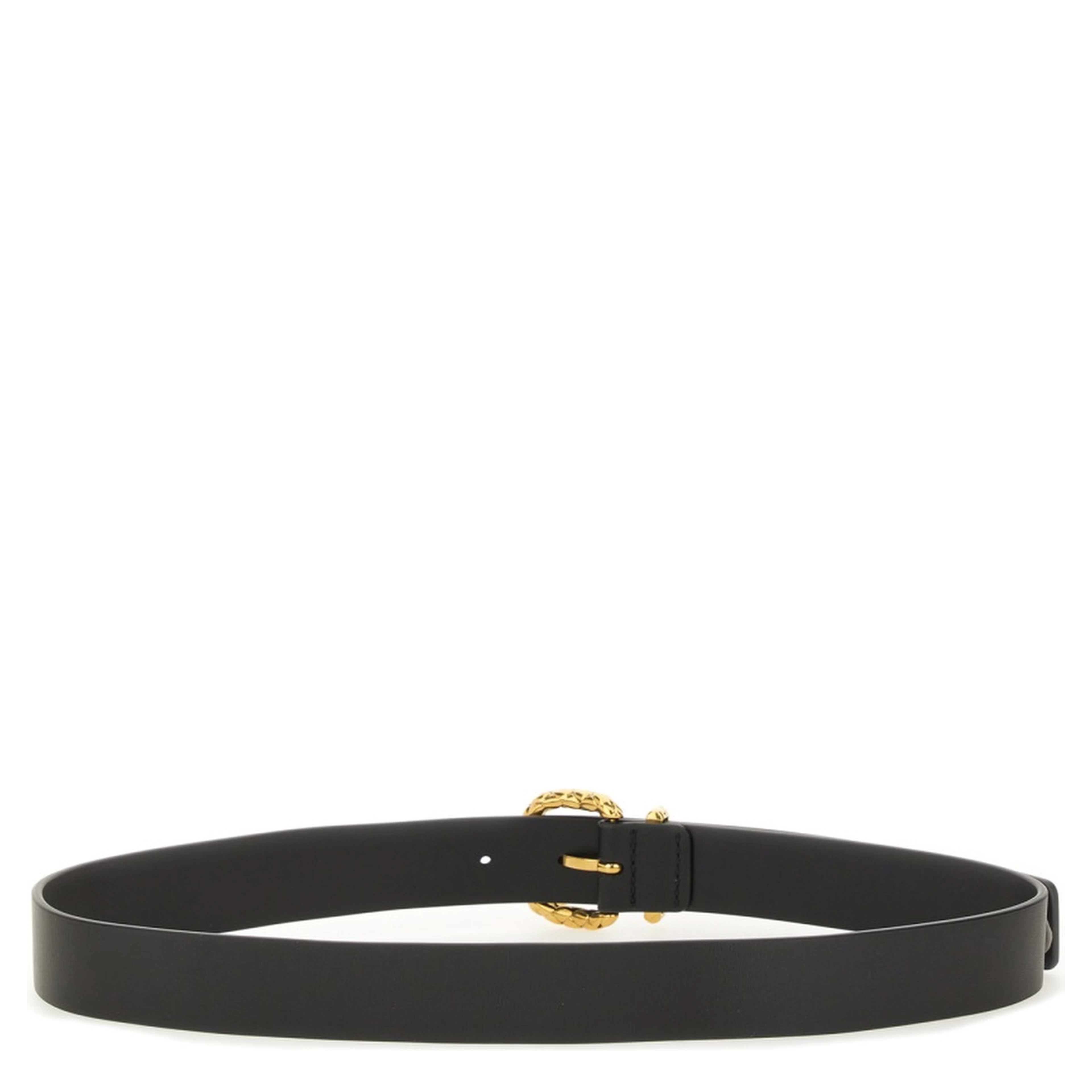 COAXIAL BELT WITH LOOP