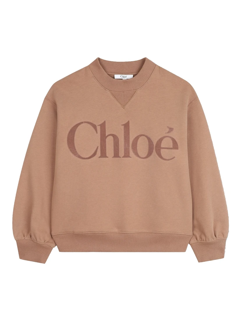 Brown generous weatshirt