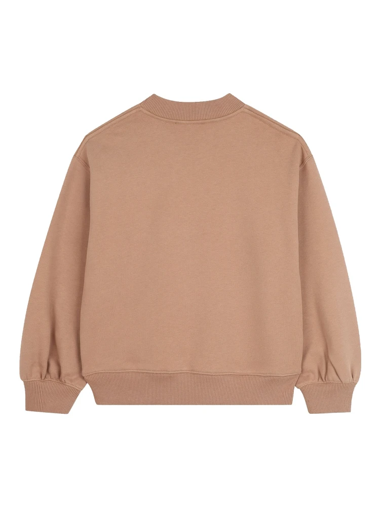 Brown generous weatshirt alternative