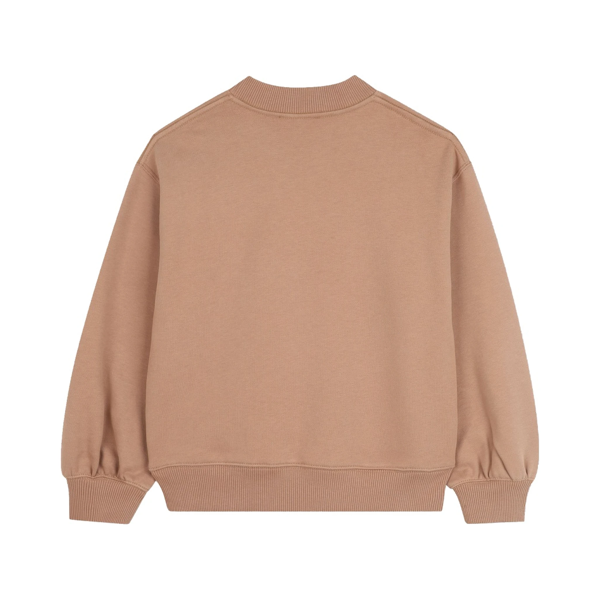 Brown generous weatshirt