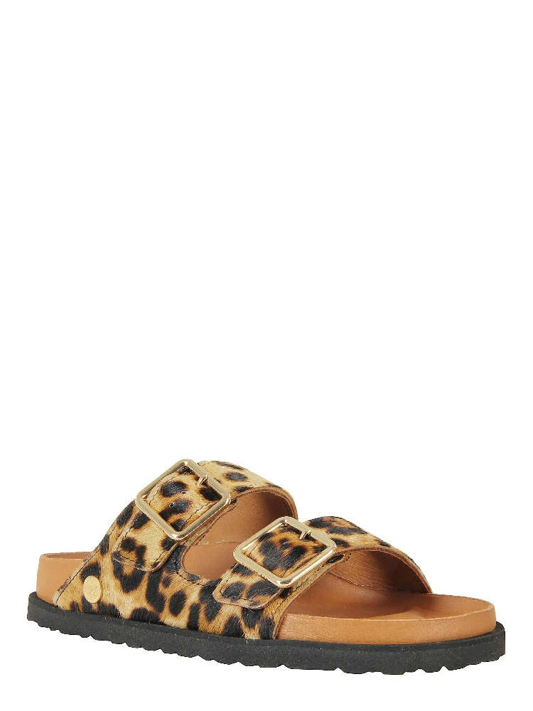 1031699|097 alternative