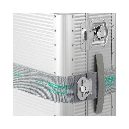 BUTTERFLY ELASTIC BELT M