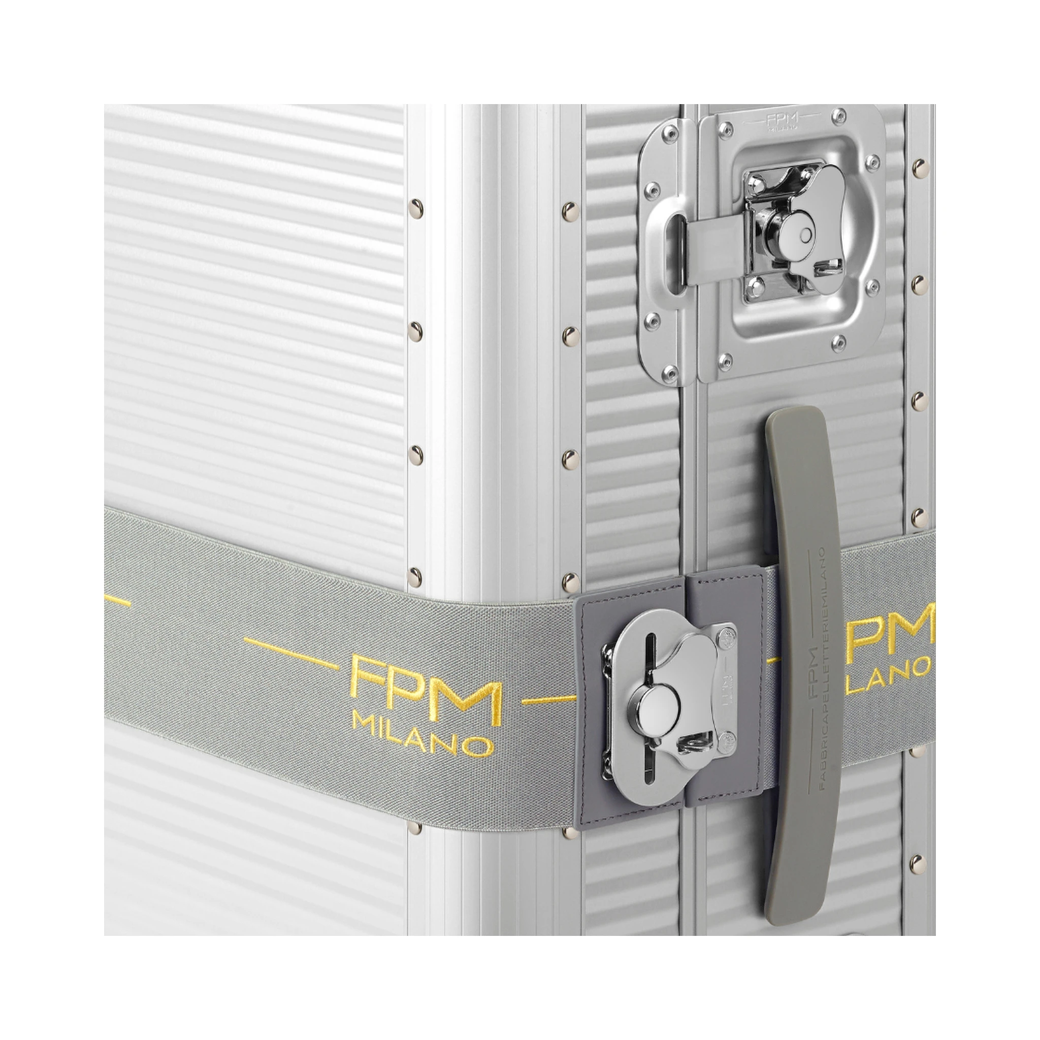 BUTTERFLY ELASTIC BELT M