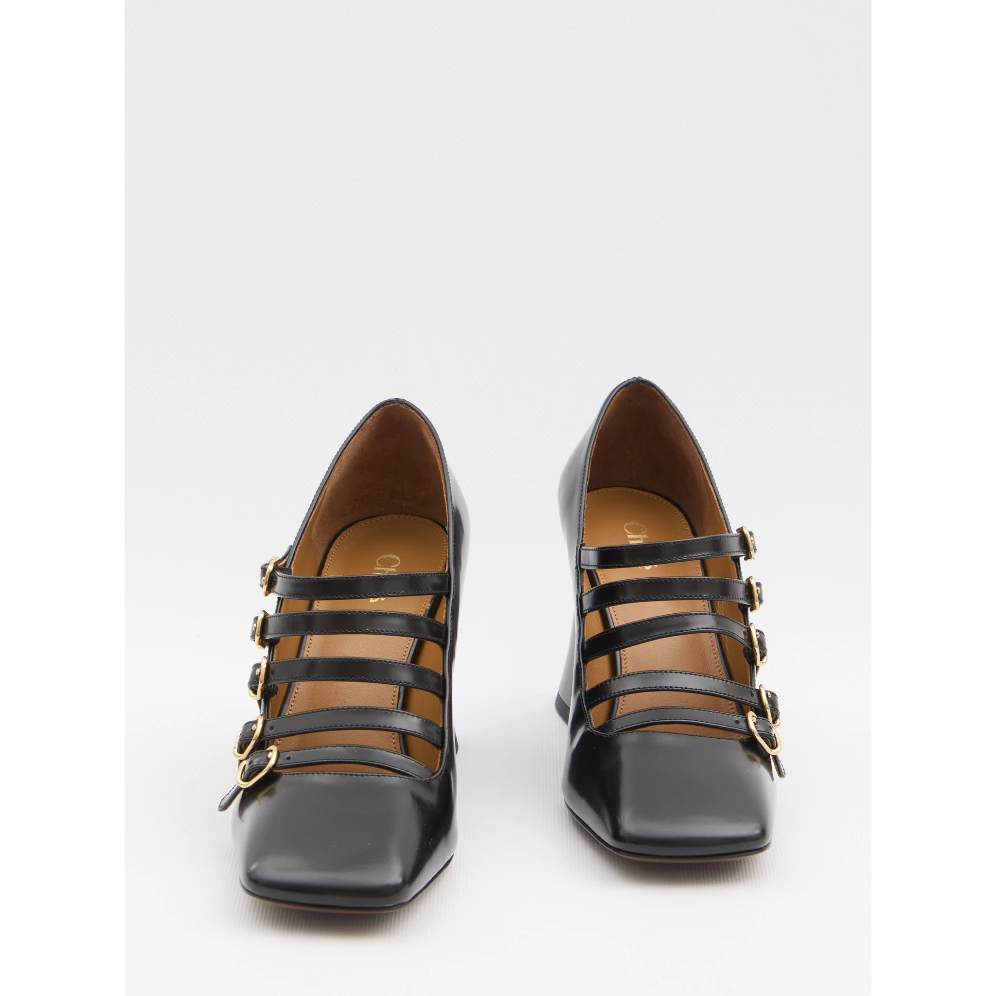 مضخات جانيس