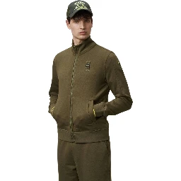 Blauer Sweaters Green