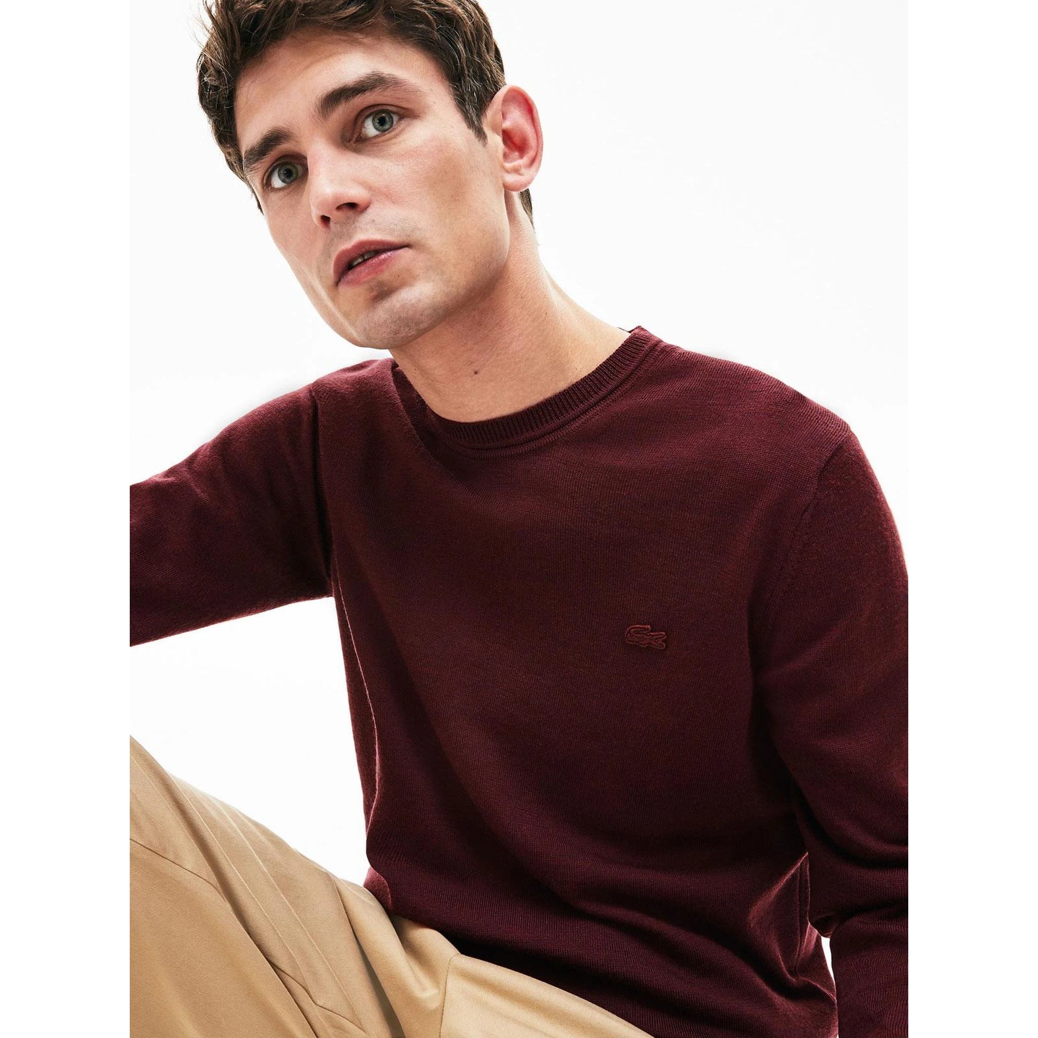 Lacoste Sweaters Bordeaux