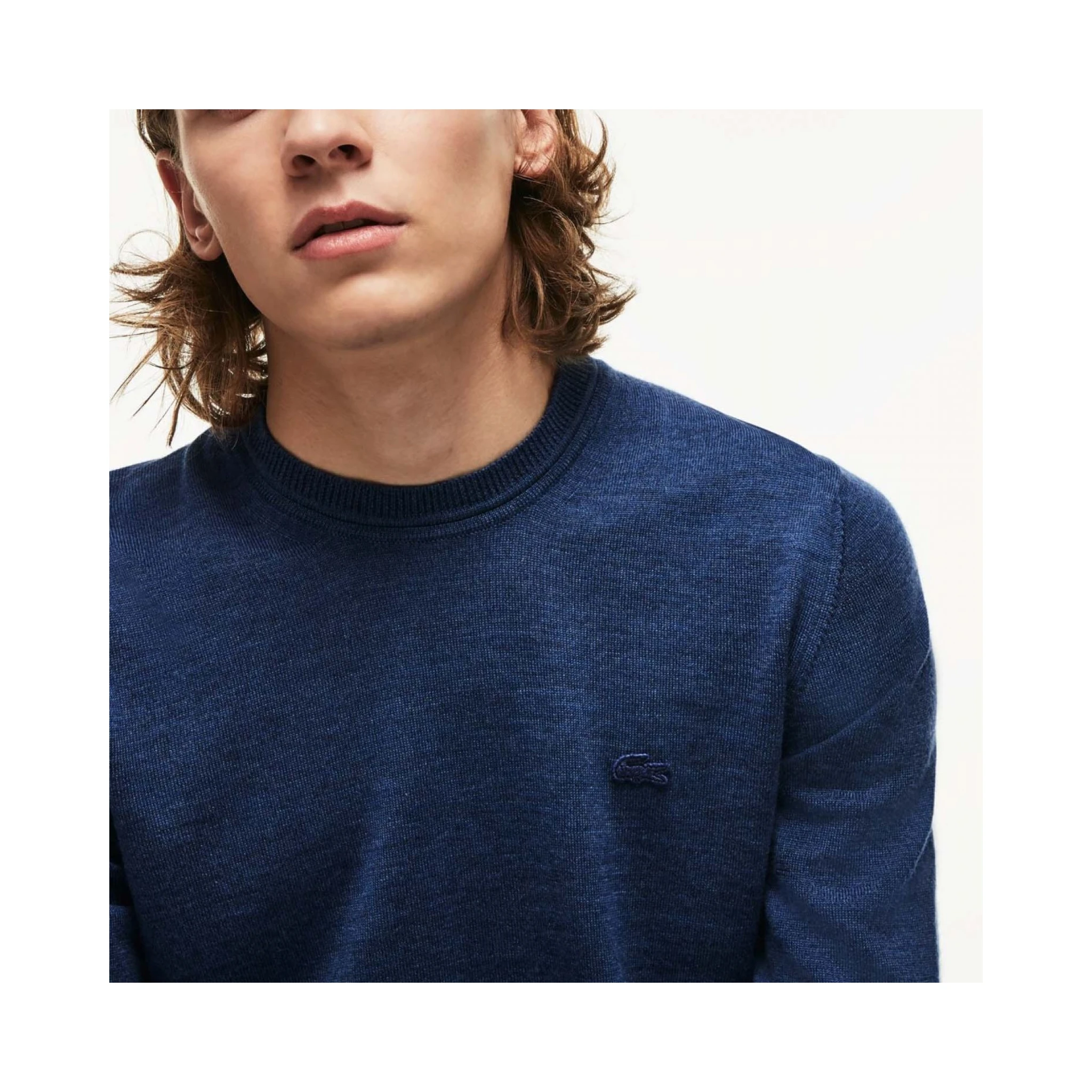 Lacoste Sweaters Blue