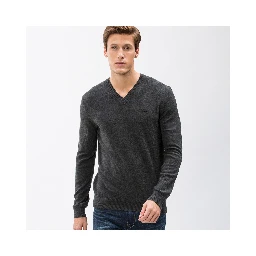 Lacoste Sweaters Grey