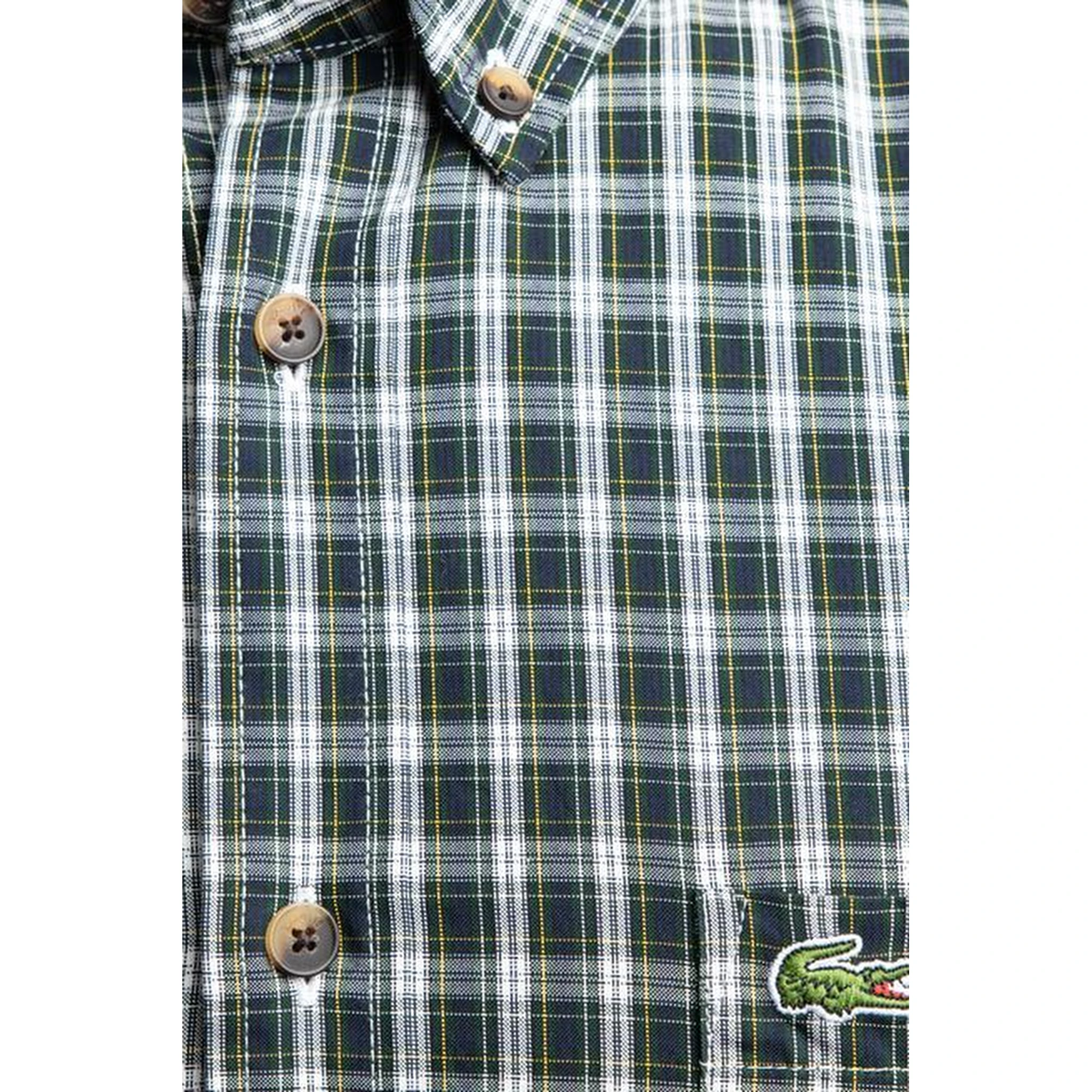 Lacoste Shirts Green