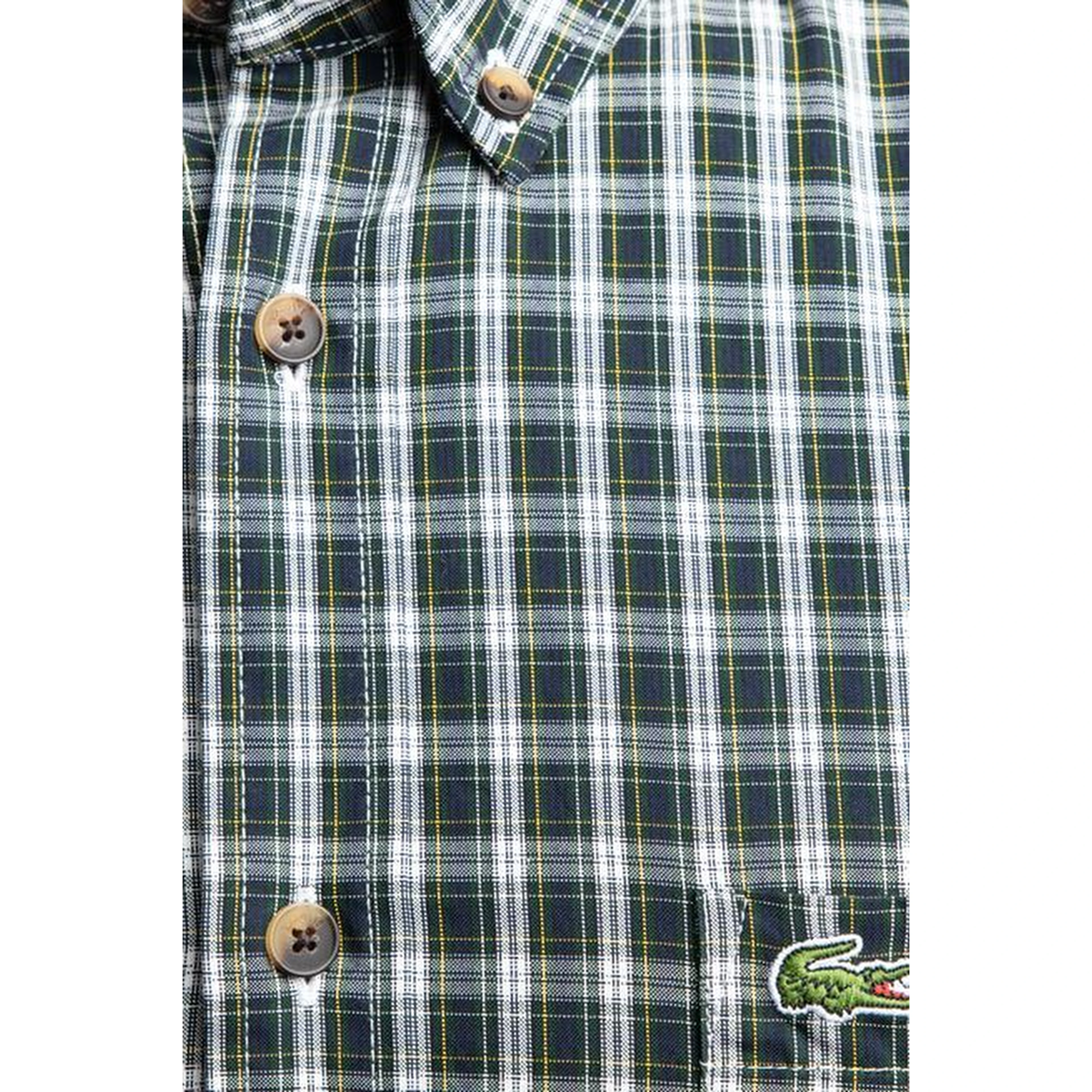 Lacoste Shirts Green