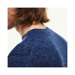 Lacoste Sweaters Blue