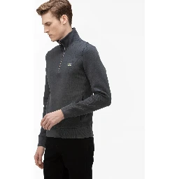 Lacoste Sweaters Grey