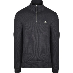 Lacoste Sweaters Grey