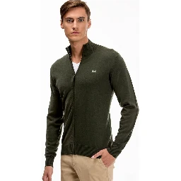 Lacoste Sweaters Green