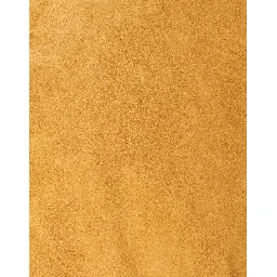 معاطف غوتشي بيج