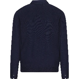 MAURO OTTAVIANI T-shirts and Polos Blue