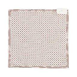 Brunello Cucinelli Scarfs Bordeaux