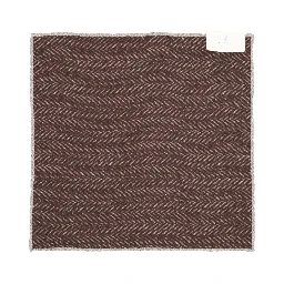 Brunello Cucinelli Scarfs