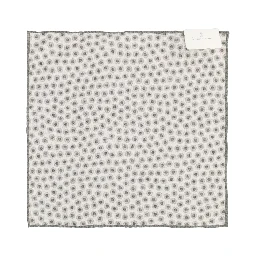 Brunello Cucinelli Scarfs