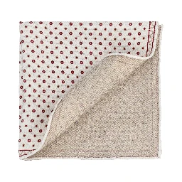 Brunello Cucinelli Scarfs Bordeaux