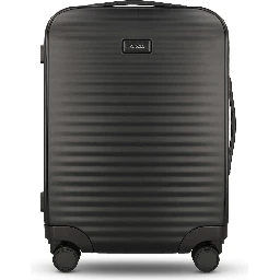 ZEGNA Suitcases