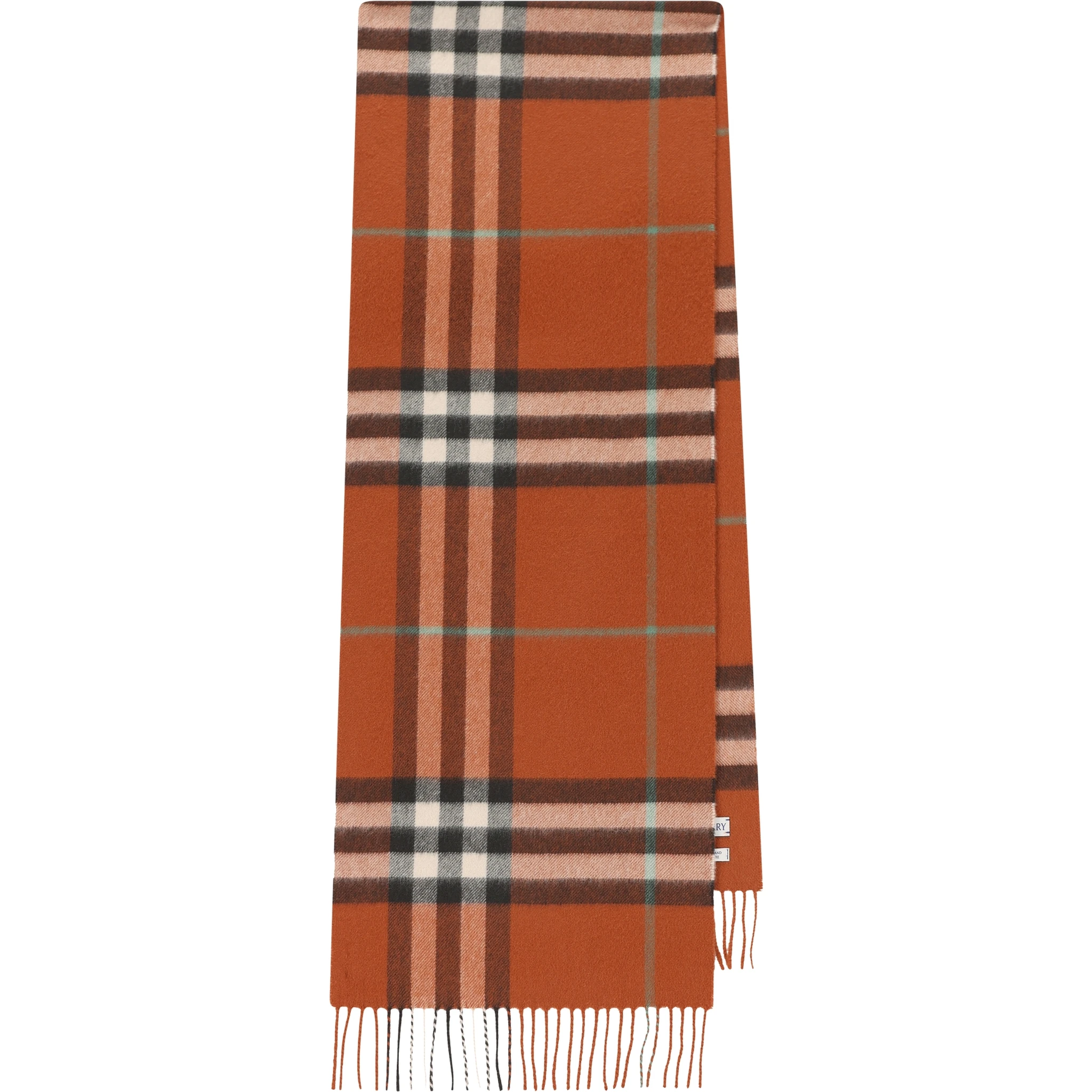 Burberry Scarfs