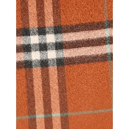 Burberry Scarfs
